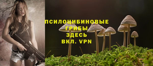 jwh Алзамай
