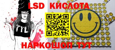 прущие грибы Кандалакша
