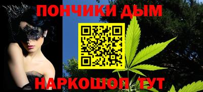 прущие грибы Кандалакша