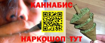 прущие грибы Кандалакша