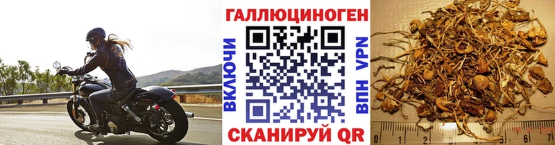 Галлюциногенные грибы ЛСД  Сибай 