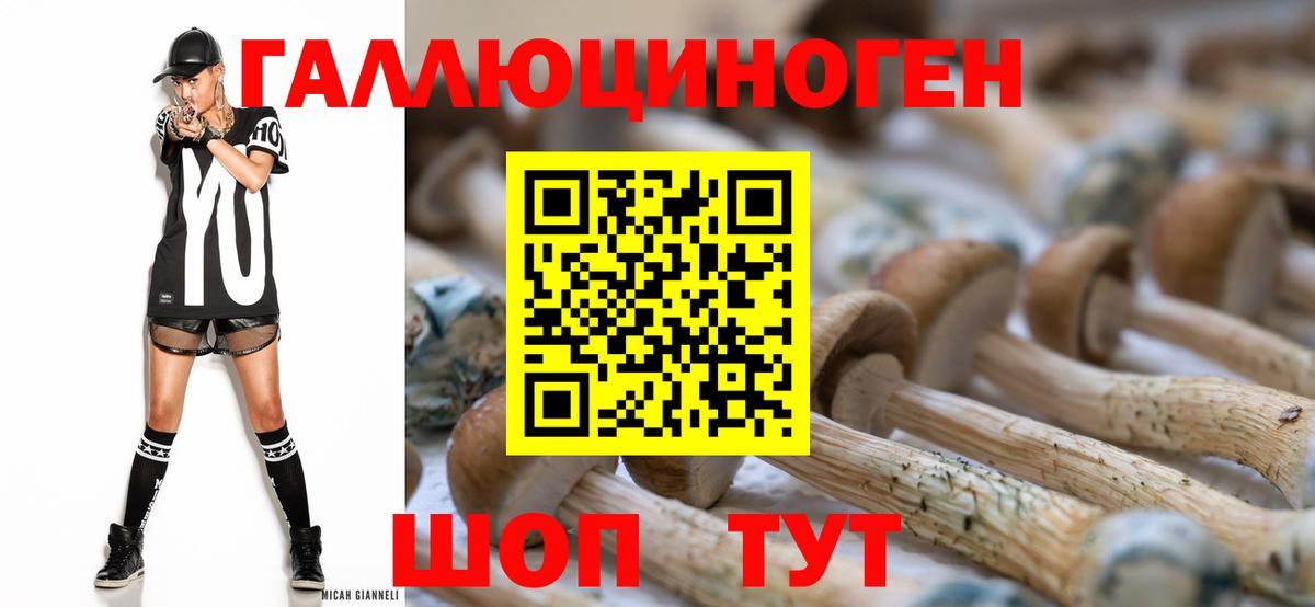 Псилоцибиновые грибы мицелий Сибай